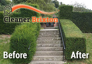 Hedge Trimming Before and After
