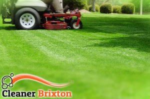 grass-cutting-brixton
